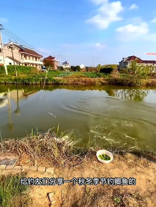 深冬钓鲫鱼,饵料很重要,尤其这些“成分”在低温天更好用!