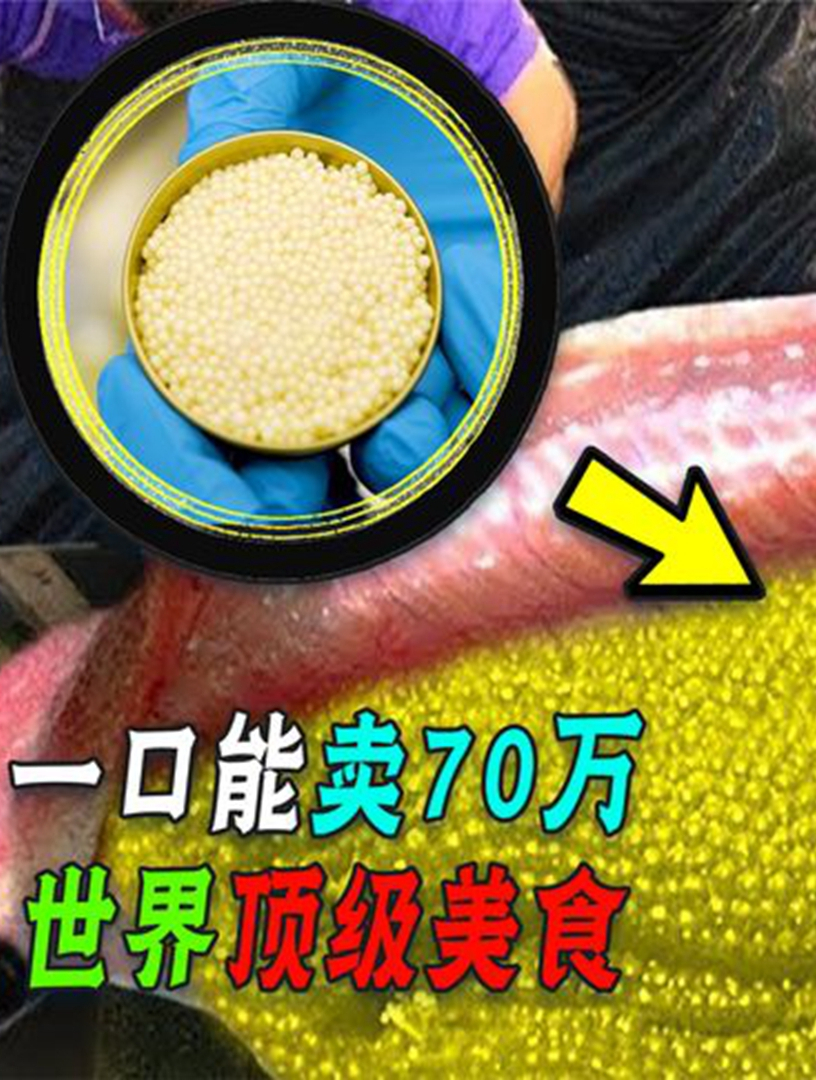 俄罗斯70万一勺的鱼子酱,到了中国人手里,为啥变成“白菜价”?