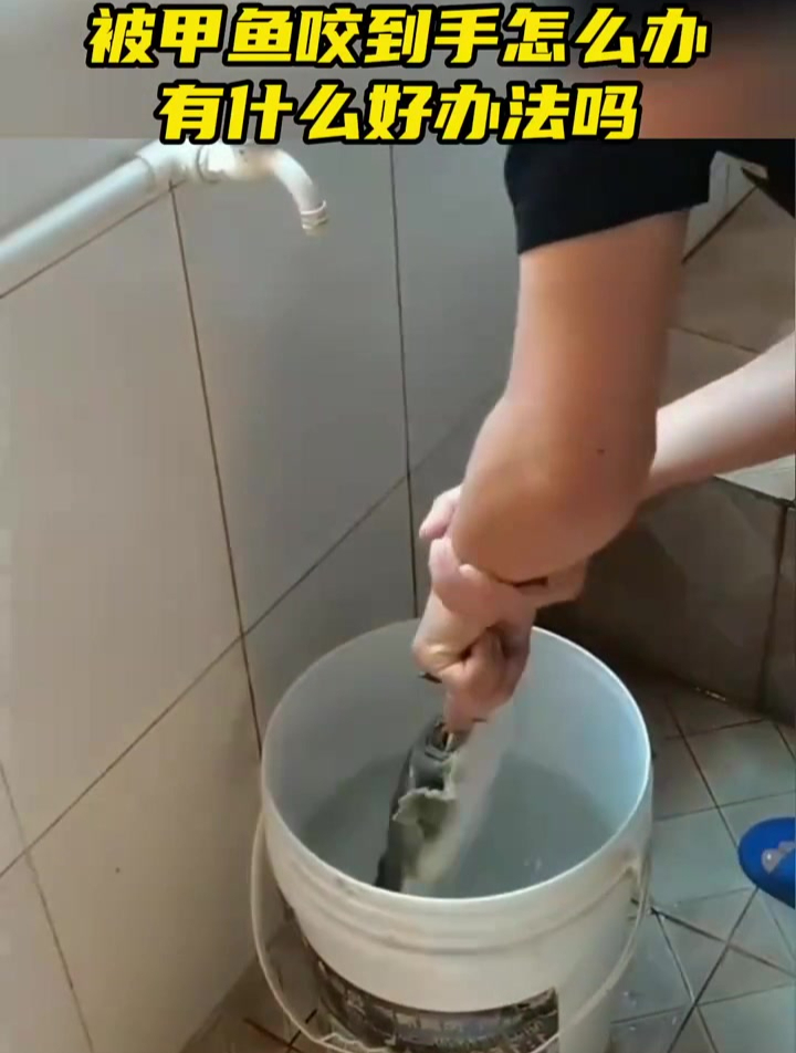 被甲鱼咬了怎么办,谁有什么好办法!