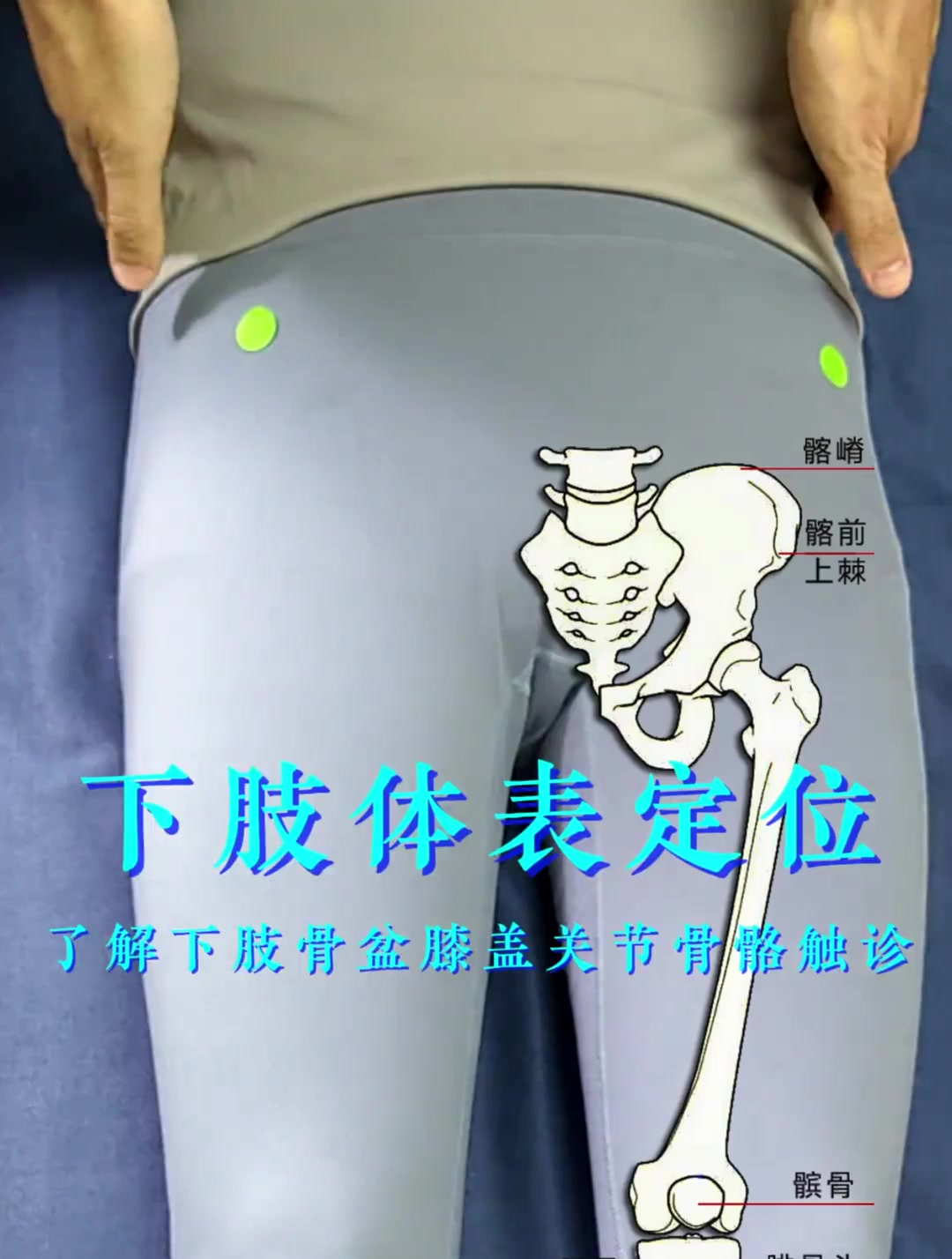 了解下肢骨盘膝盖关节骨骼触诊