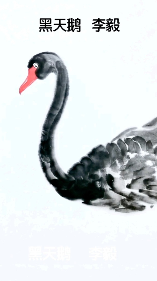 画画:荷园惊梦,国画