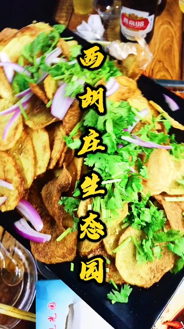 假期去生态园采摘点新鲜蔬菜和水果