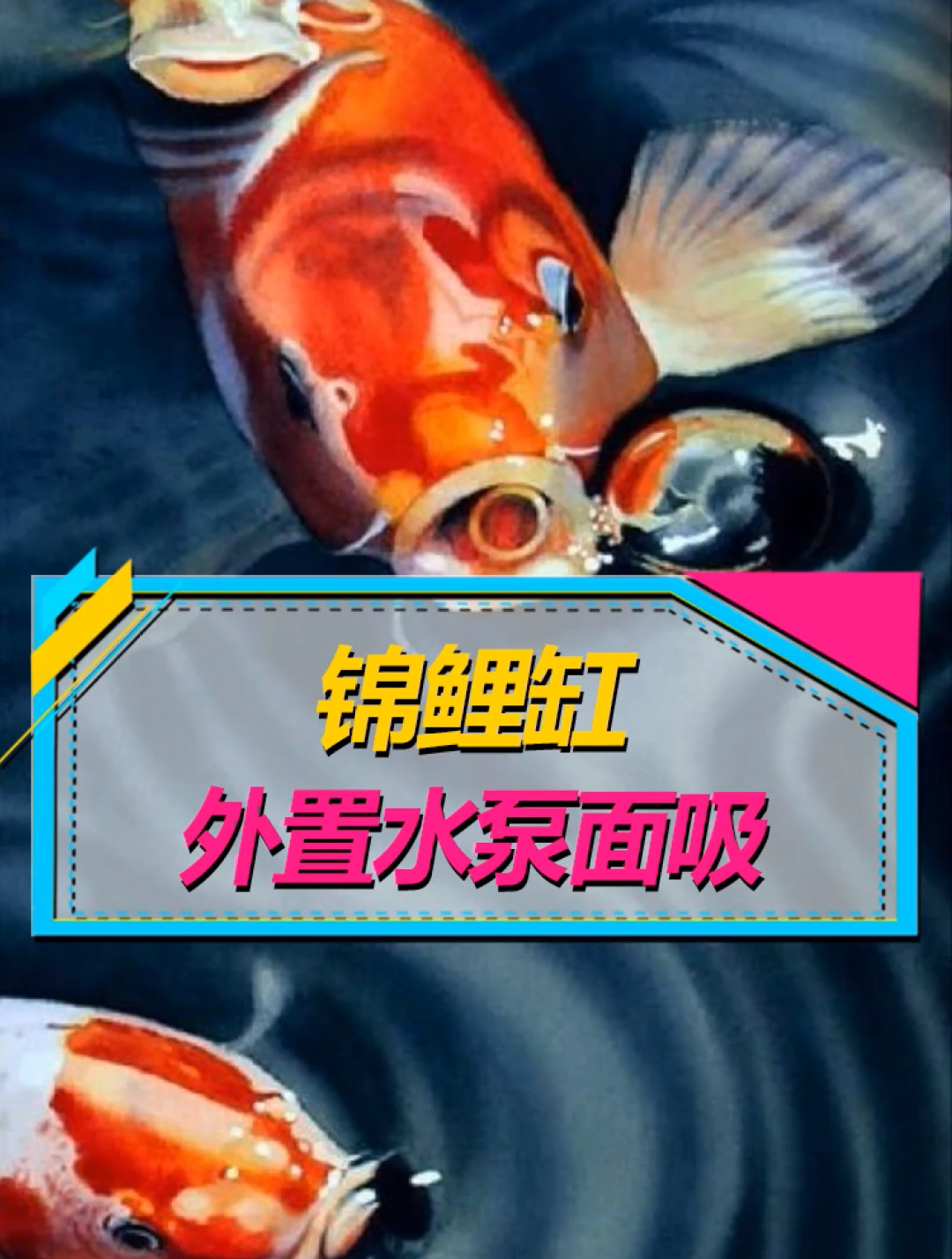 每次断电都要用嘴抽水的鱼缸见过吗?外置水泵+面吸改装失败!