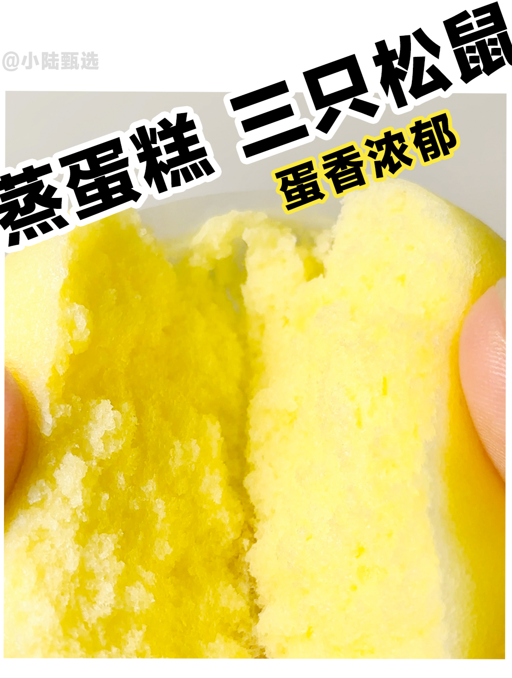 非常好吃的蒸蛋糕