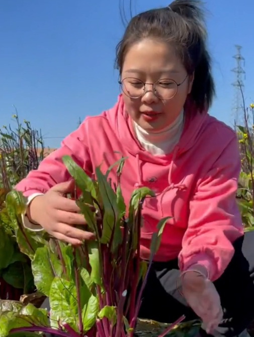 红菜苔富含丰富“维生素”,嫩脆好吃不发苦,味道家常又下饭!
