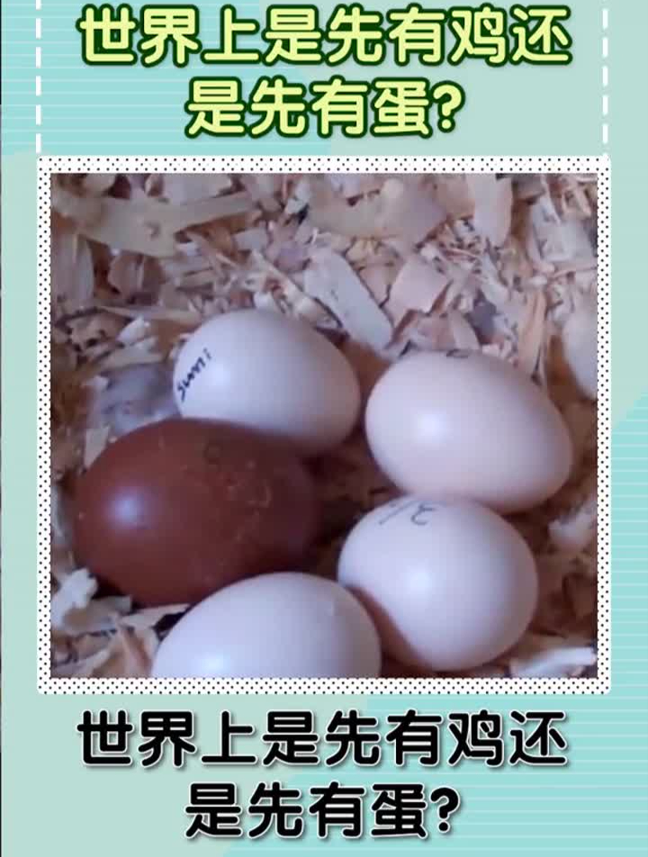 世界是上先有鸡还是先有蛋