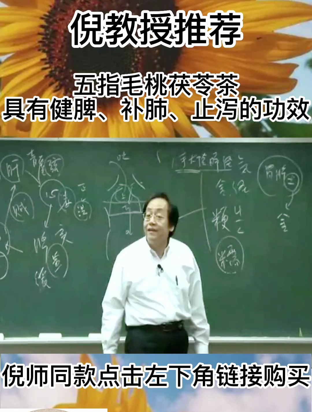 倪教授:如果你咳嗽,食欲不振可以试试五指毛桃茯苓茶