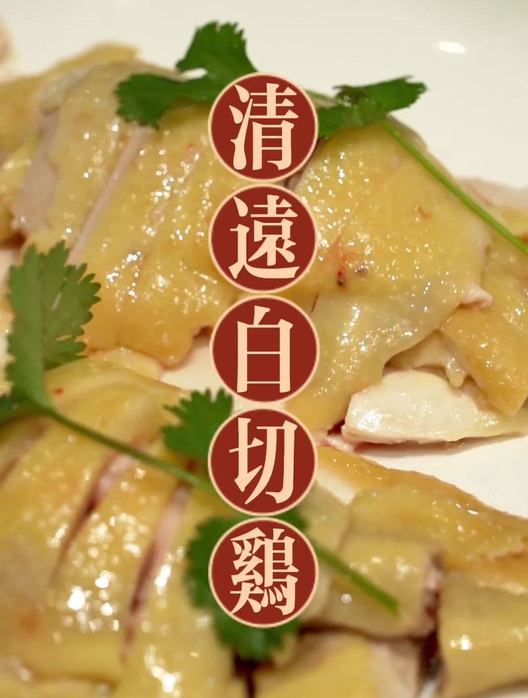 没有一只能活着离开清远,经典白切鸡,正宗清远靓鸡!