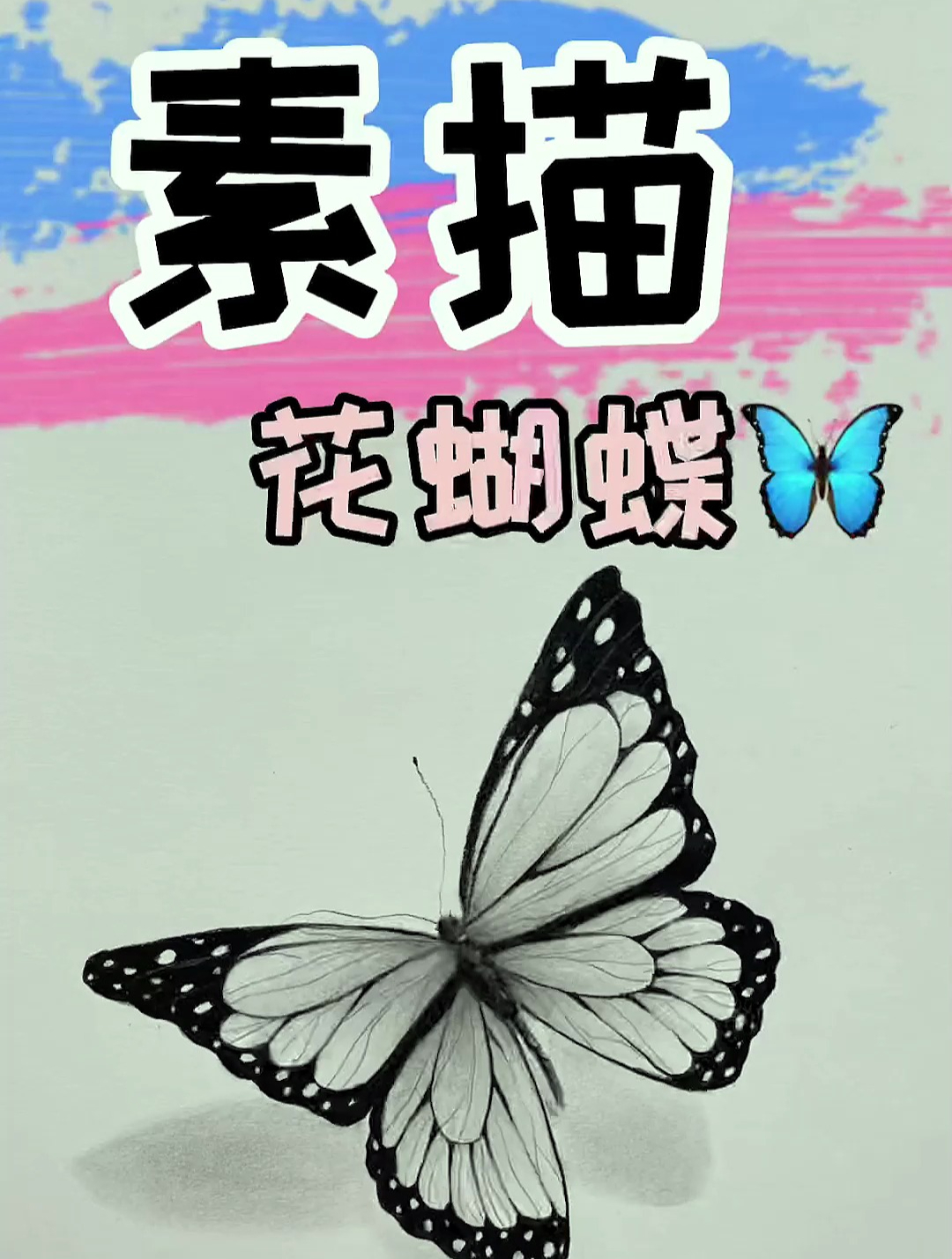 花蝴蝶素描
