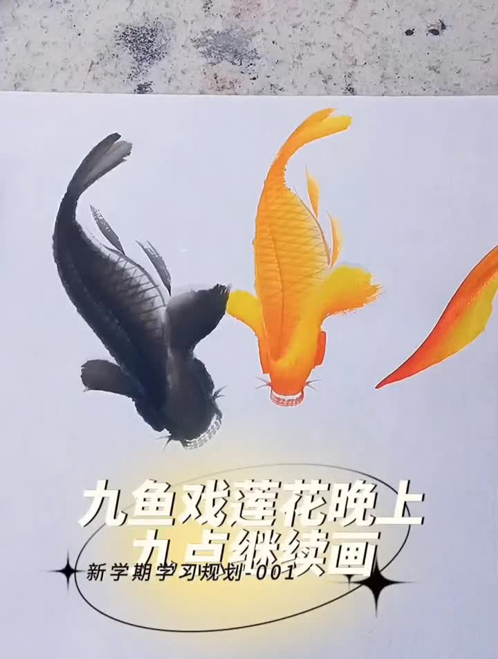 九鲤荷花晚上九点鲤鱼完成