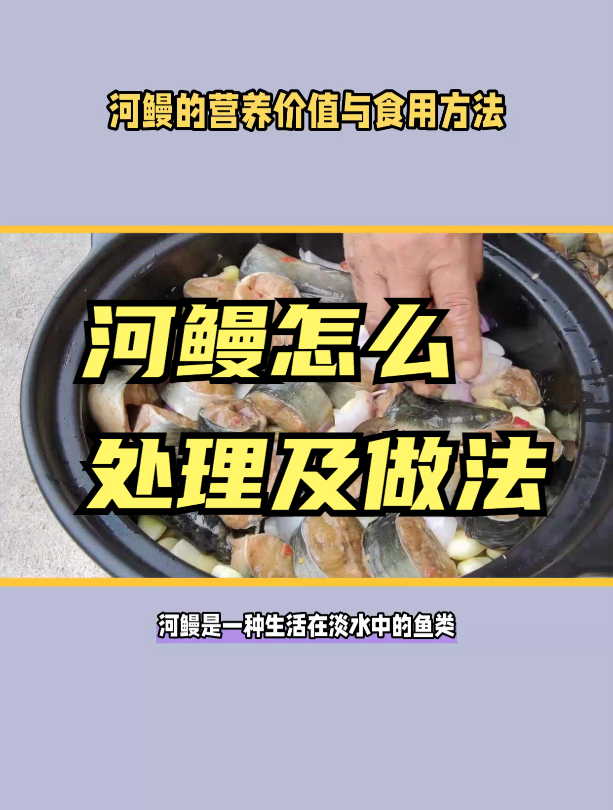 河鳗的营养价值与食用方法