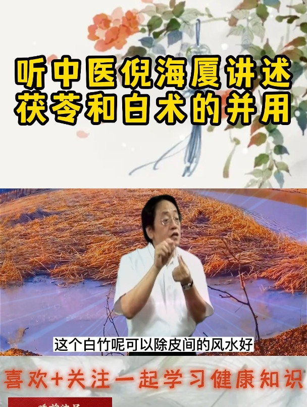听中医倪海厦教授讲述,茯苓和白术的 并用,祛湿利尿两不误