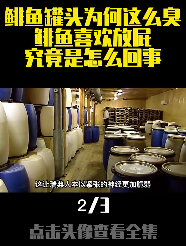 鲱鱼罐头为何这么臭?鲱鱼喜欢放屁,究竟是怎么回事?(2)