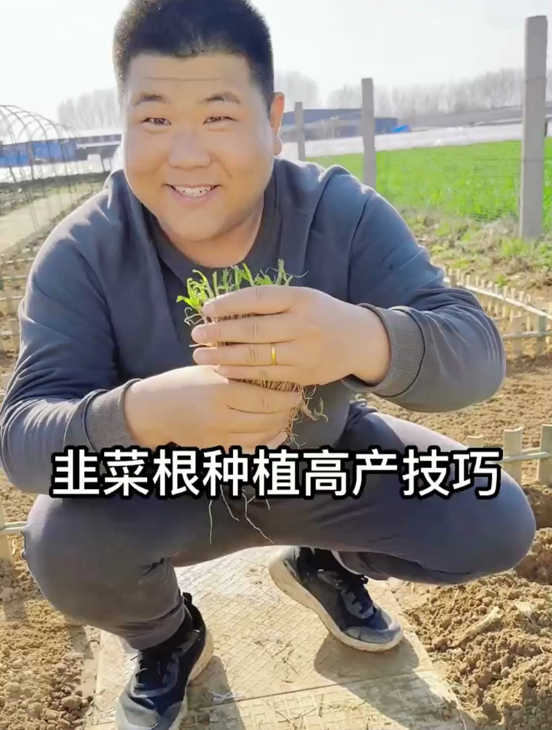 种植韭菜,学会这“3点”,长势旺盛,越割越大株!