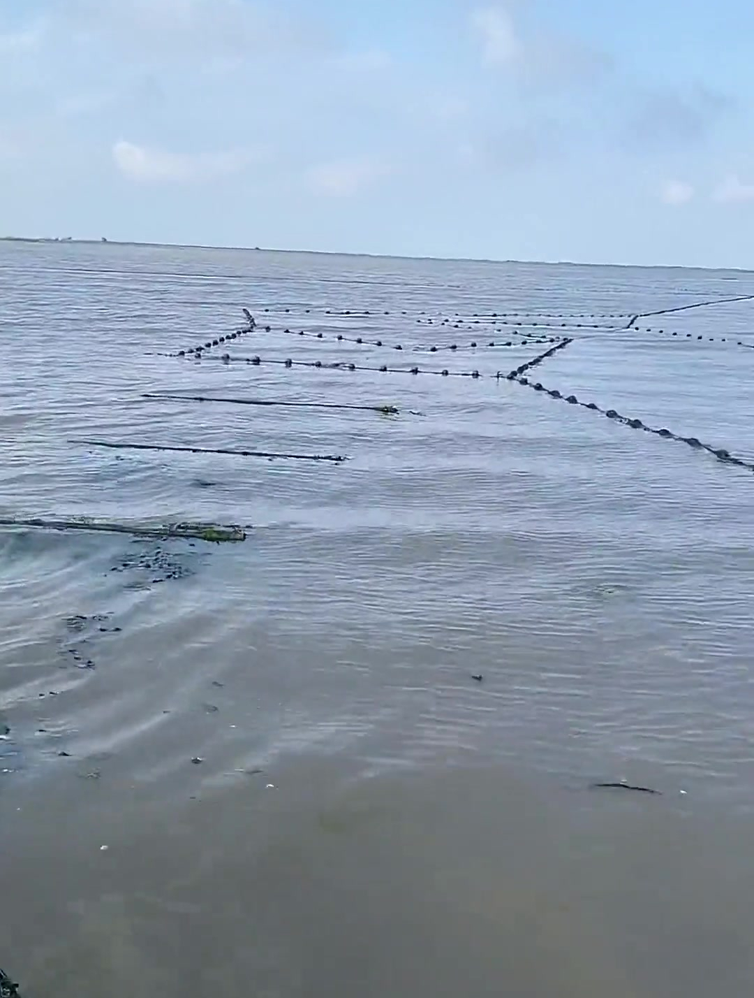 大型迷魂阵捕鱼