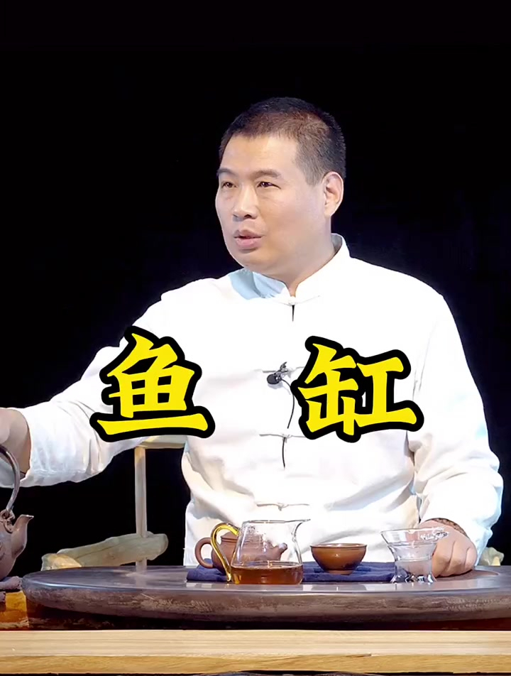 讲一讲鱼缸的利弊!设计