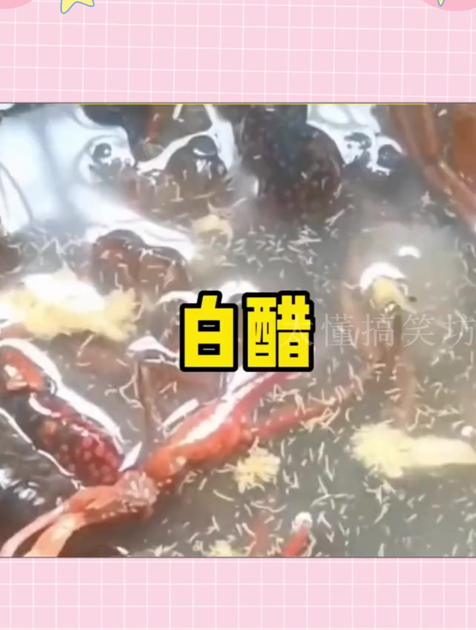 用白醋喝白酒腌制小龙虾,结果跑出一层虫子,万物煮熟皆是蛋白质
