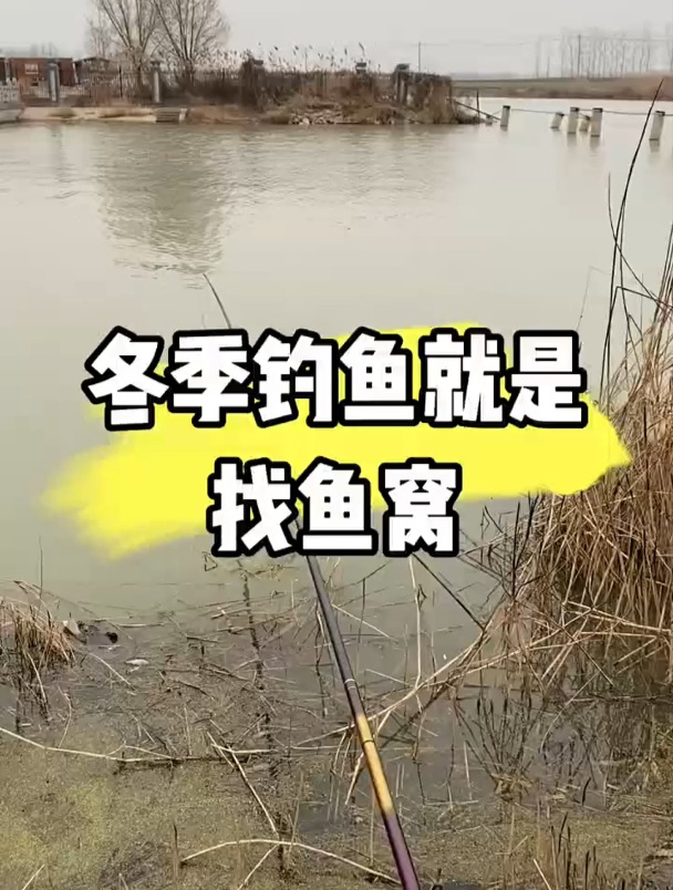 冬季钓鱼如何找鱼窝?老钓友分为这4点详细讲解!