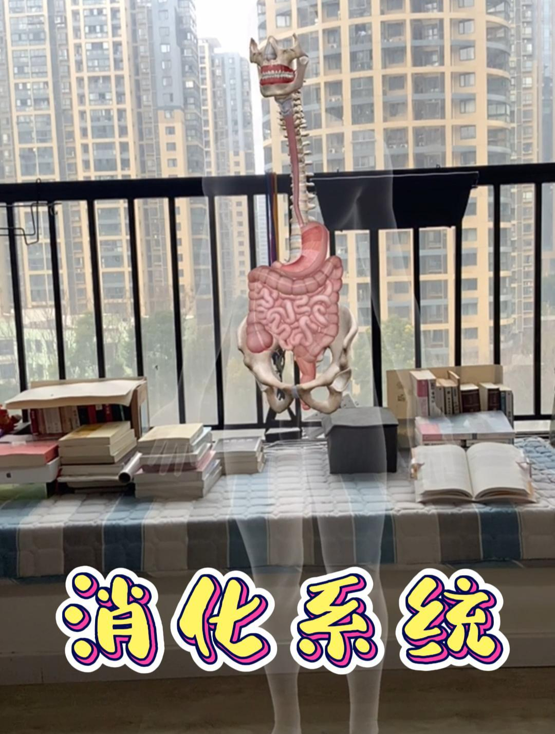消化系统在人体哪个位置?