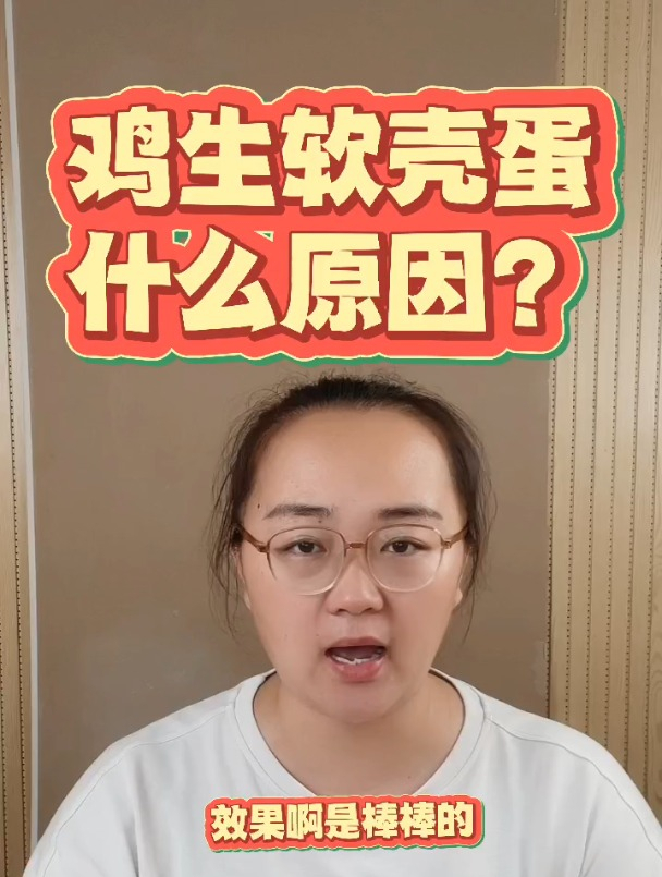 鸡出现软壳蛋什么原因?鸡出现软壳蛋怎么办?鸡生软蛋是怎么回事