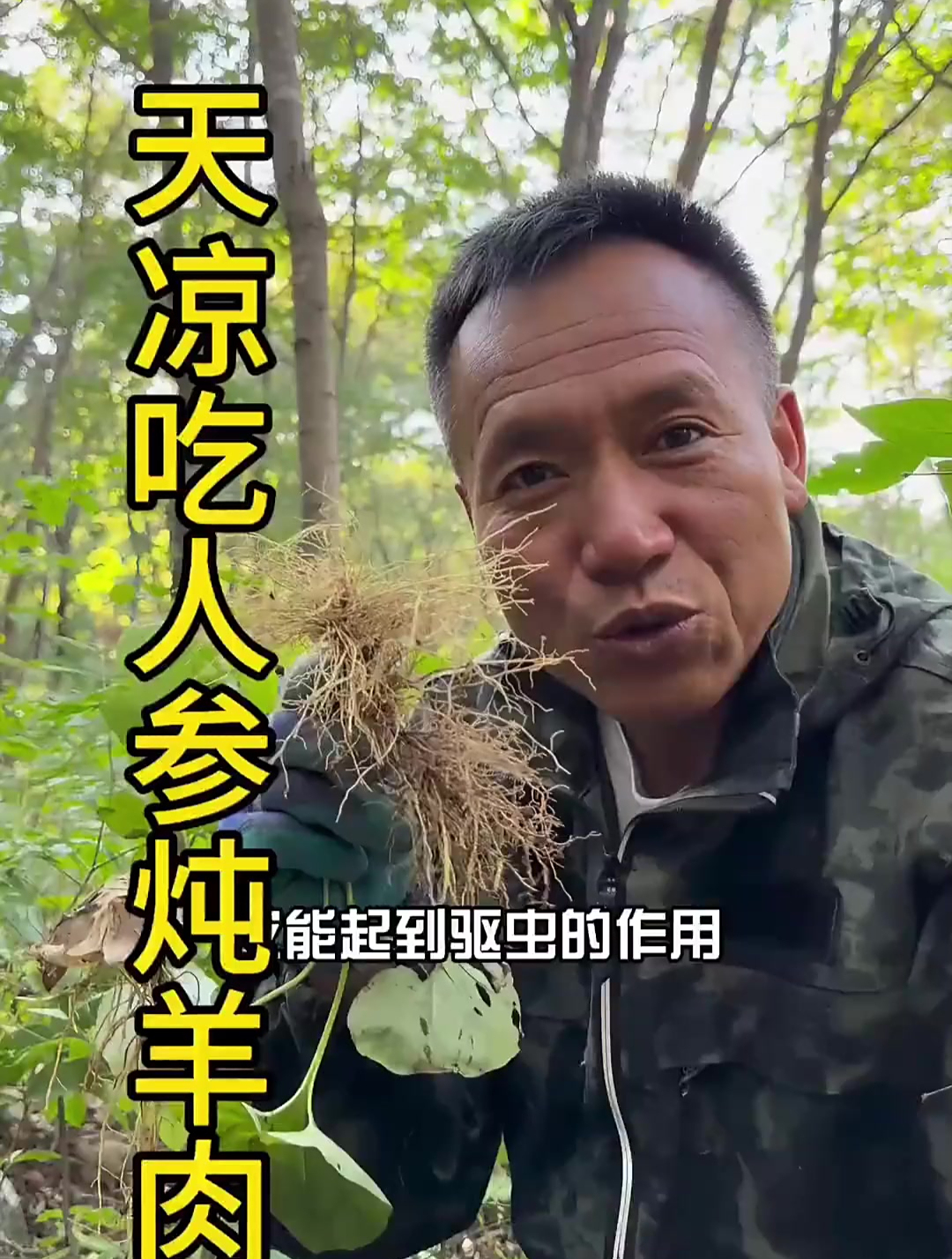 天气冷了,大家记得多穿衣服吃点羊肉人参哦