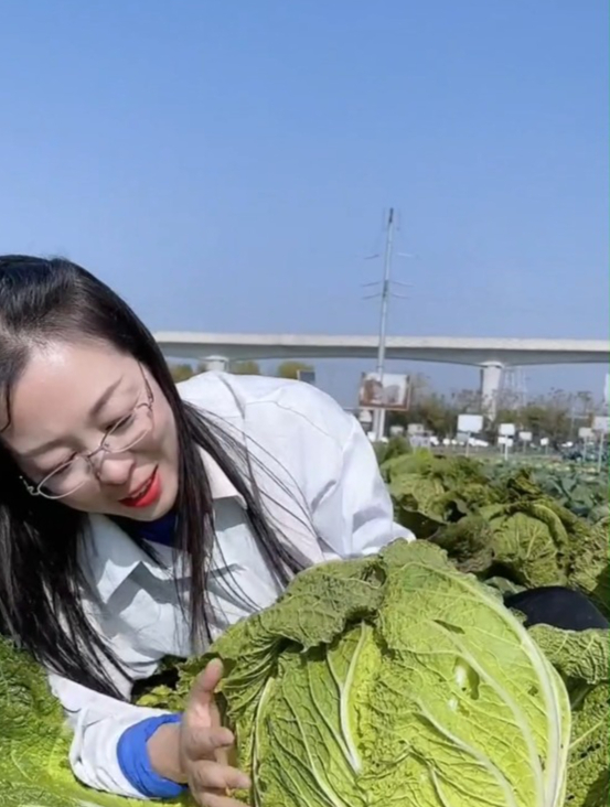 入口香甜,口味享誉全国的“胶州大白菜”,你不会还没吃过吧!