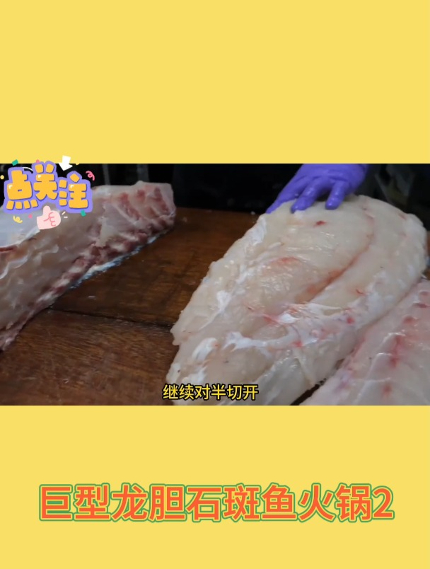 巨型龙胆石斑鱼火锅2