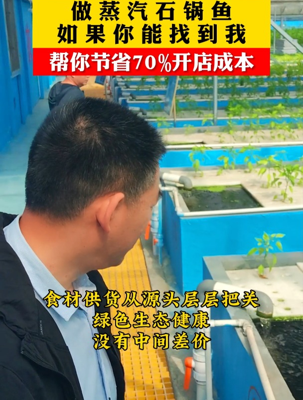 石锅鱼培训,郑州附近蒸汽石锅鱼加盟推荐,提供石锅鱼做法