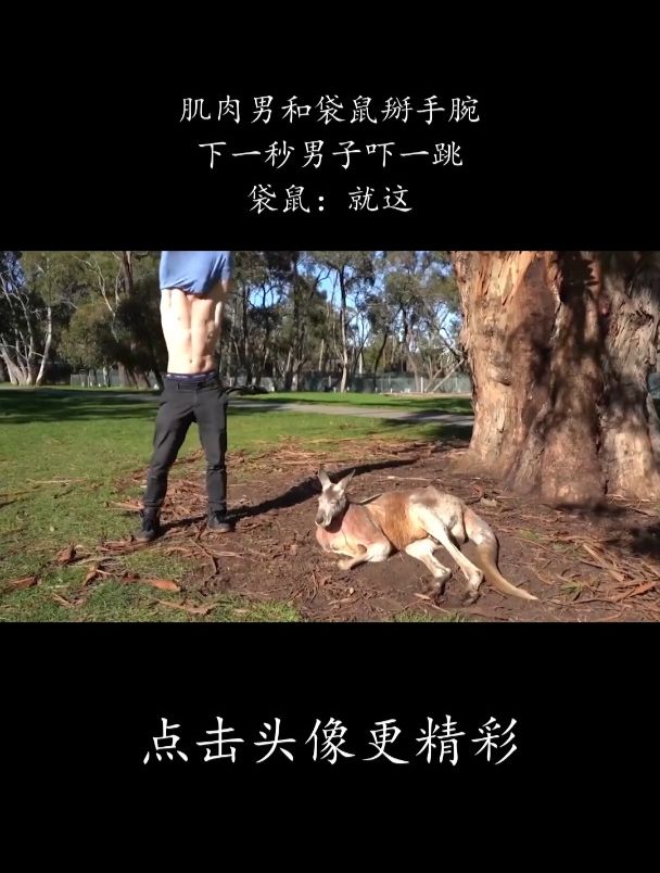 肌肉男和袋鼠掰手腕,下一秒男子吓一跳,袋鼠:就这