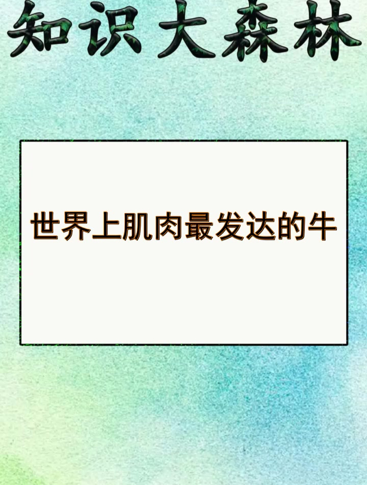 世界上肌肉最发达的牛