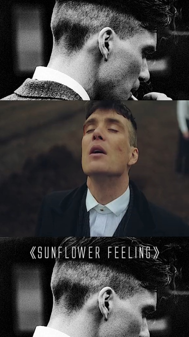 谢尔比家族格蕾丝