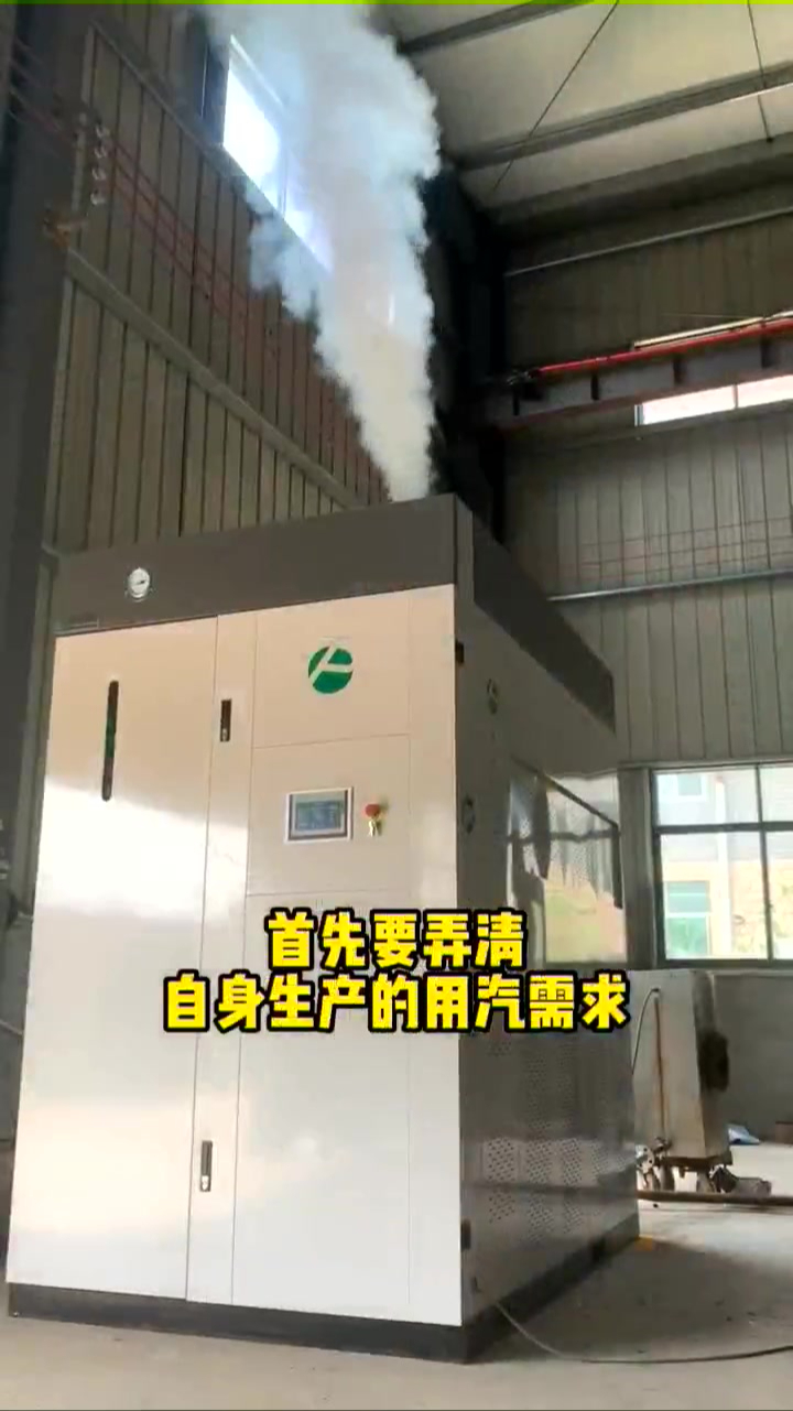 帕莱顿蒸汽发生器帮助食品企业解决生产难题