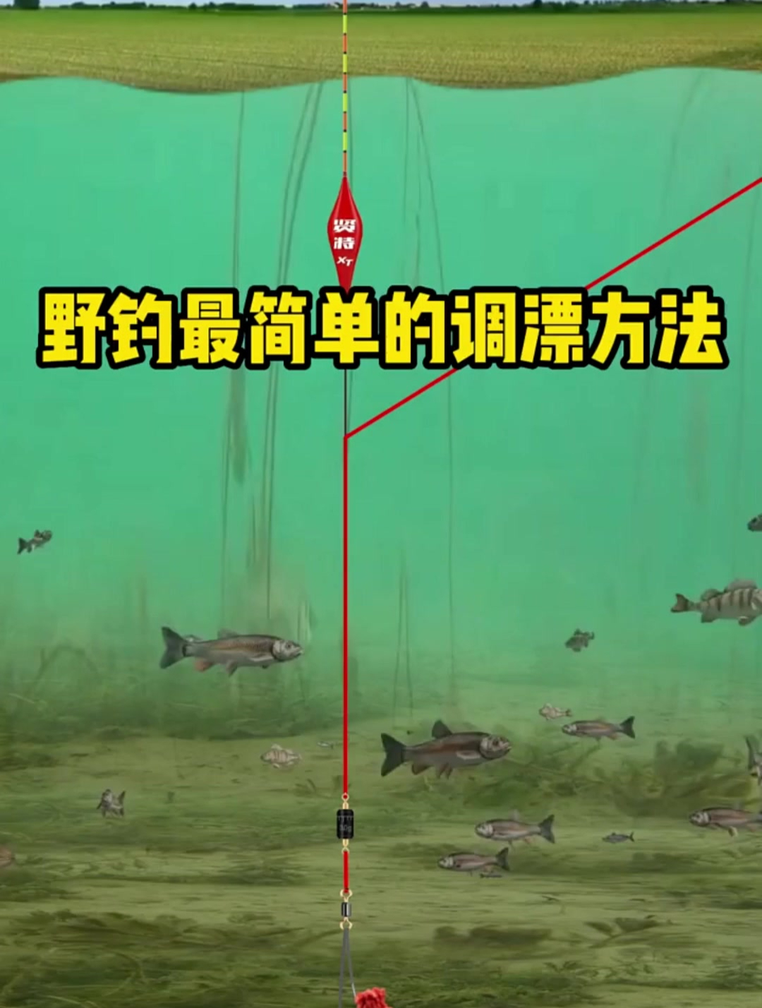 你还不知道怎么找底调漂的看过来,最直接的视频,让你轻松学会