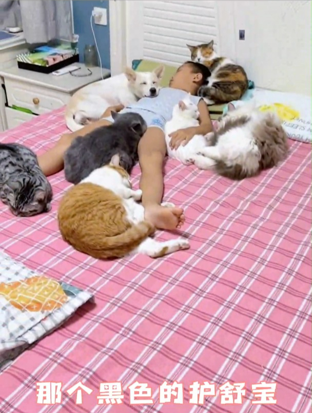 我就是想问一下,那个黑色的护舒宝叫什么名字啊