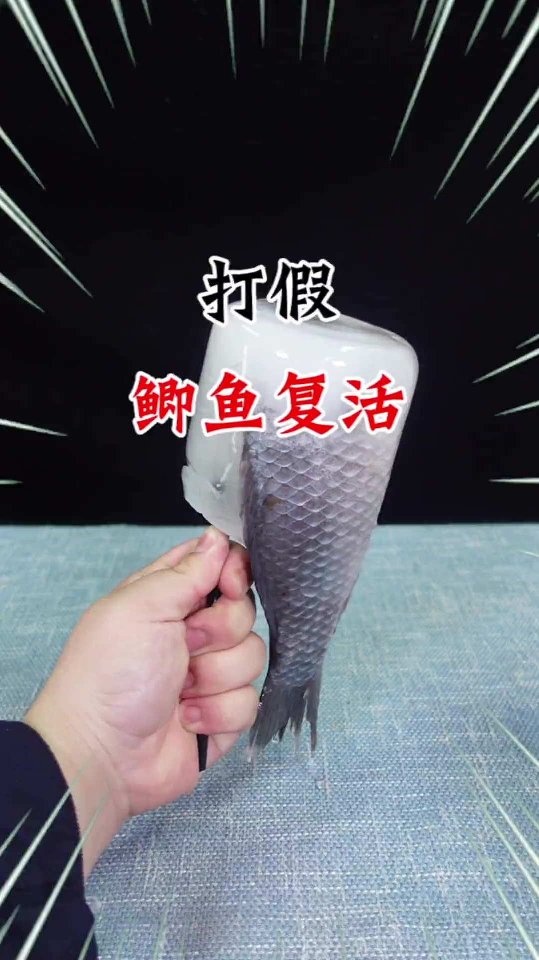 把鲜活的鲫鱼冻成冰棍,然后化冻后居然复活了?真能起死回生吗?