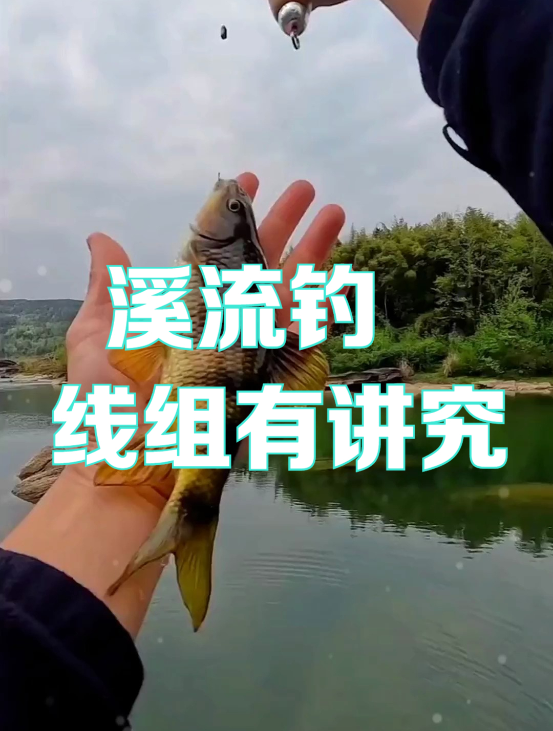 为何钓不到石斑鱼?看看线组是否用错了,溪流钓线组有讲究!