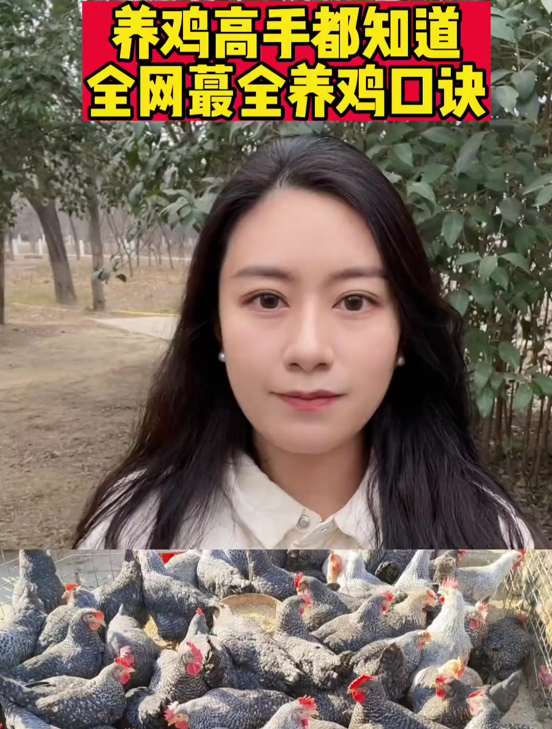 养鸡高手都知道,养鸡口诀记在心