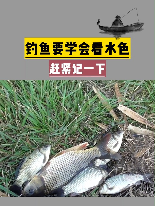 你钓鱼一定要会看水色