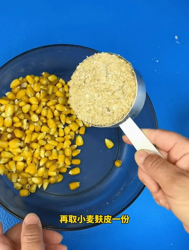 老玉米醪糟钓鱼的秘密!大鲤大草的最爱,一旦进窝赶都赶不走!