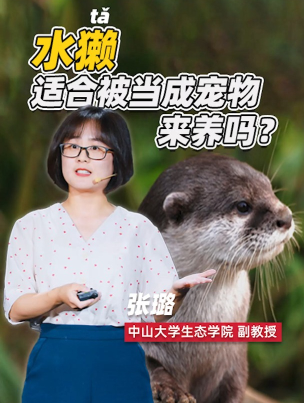 网络热门生物鉴定之“表情包帝”水獭|张璐