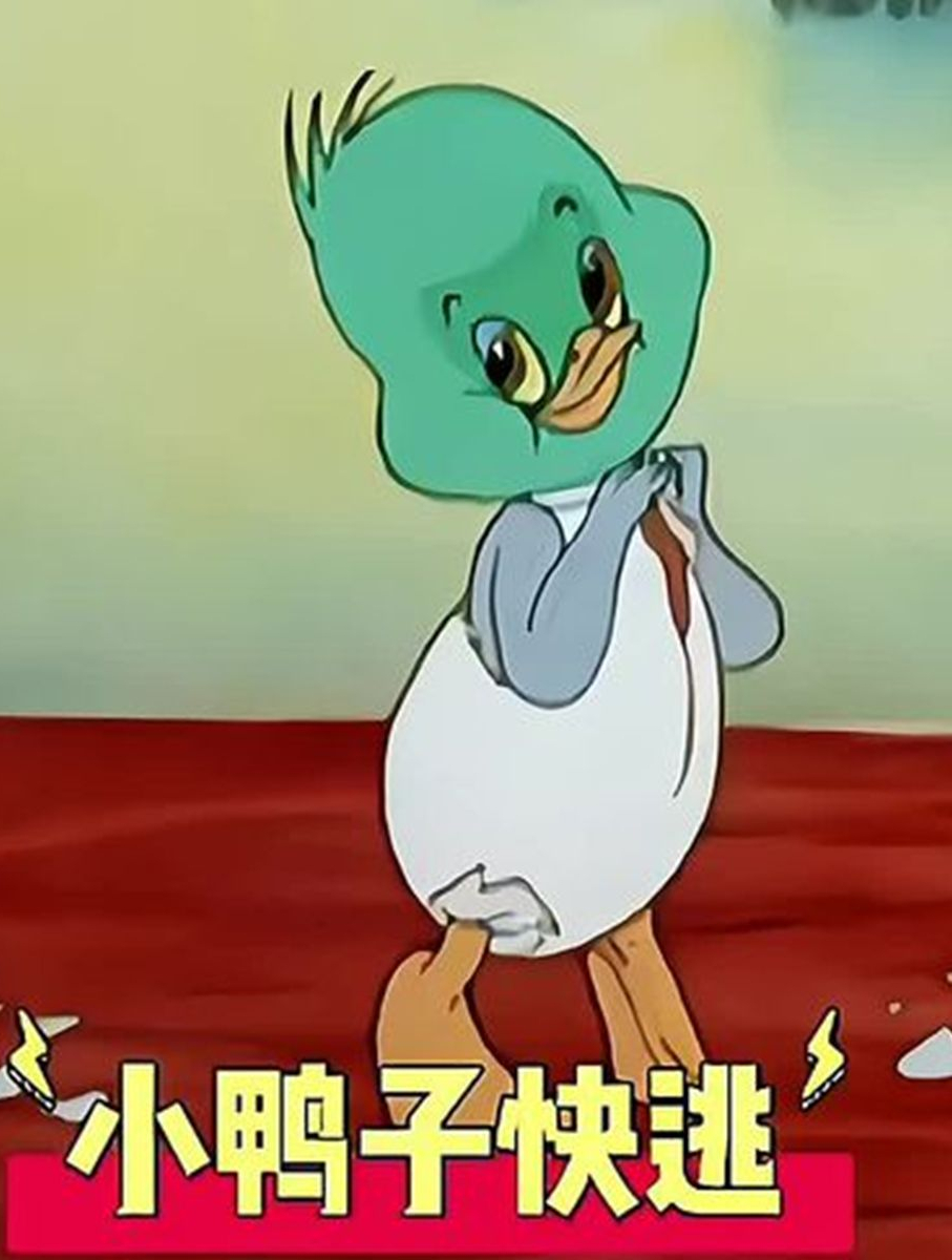 聪明的小鸭子多次从猎人枪下逃脱的故事(1)