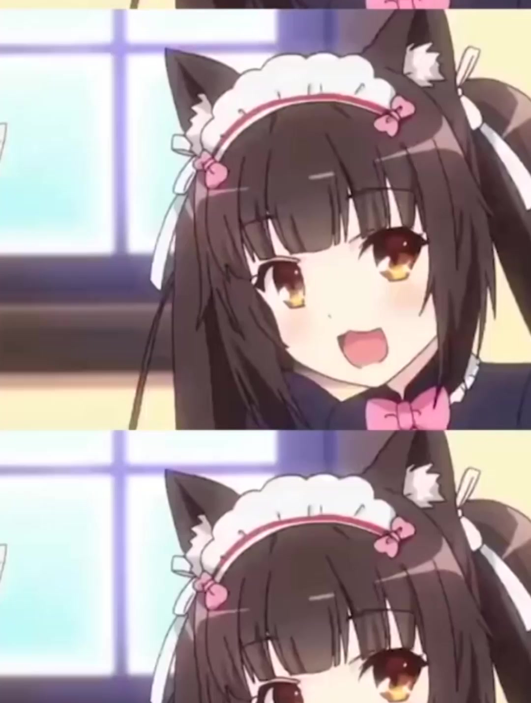 我想把巧克力和香子兰带回家