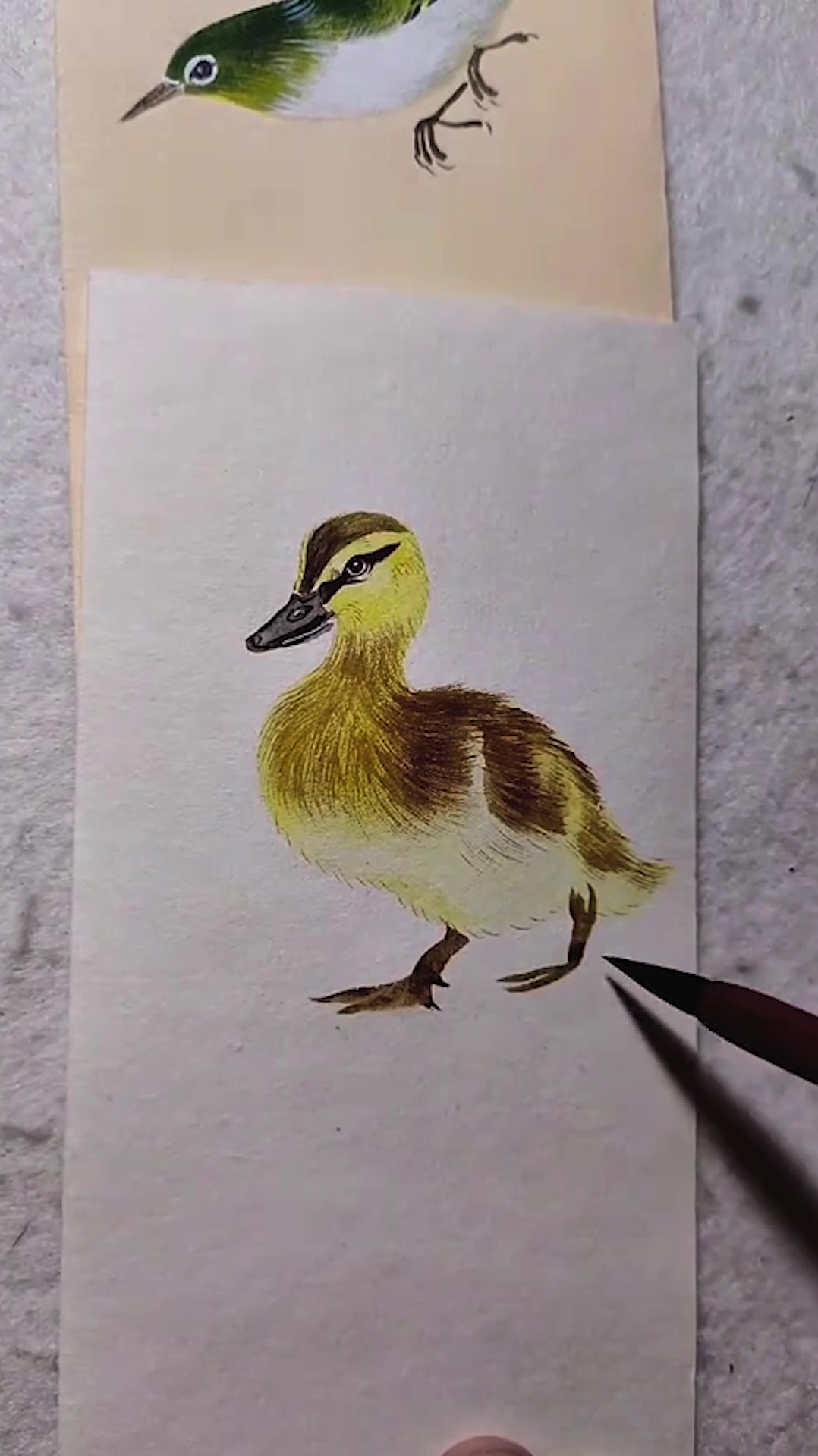 画一只英俊潇洒的小鸭子