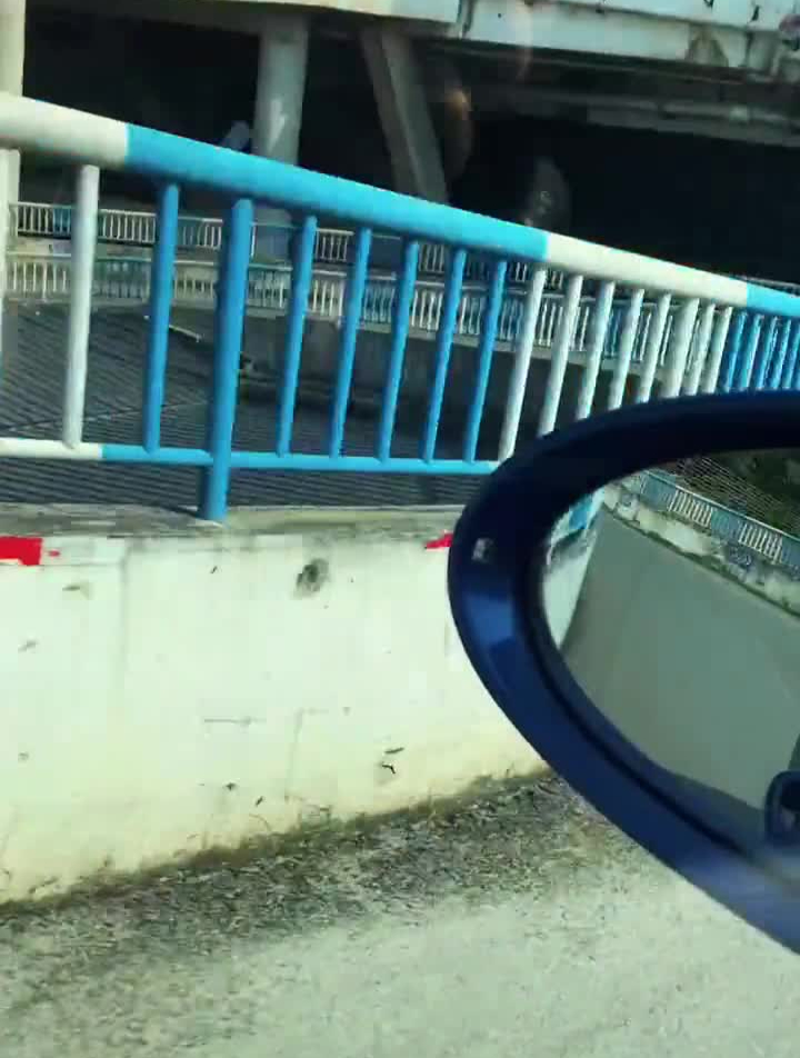 白化石斑Pk鲨鱼鲨鱼石斑鱼海缸日记海洋生物热门