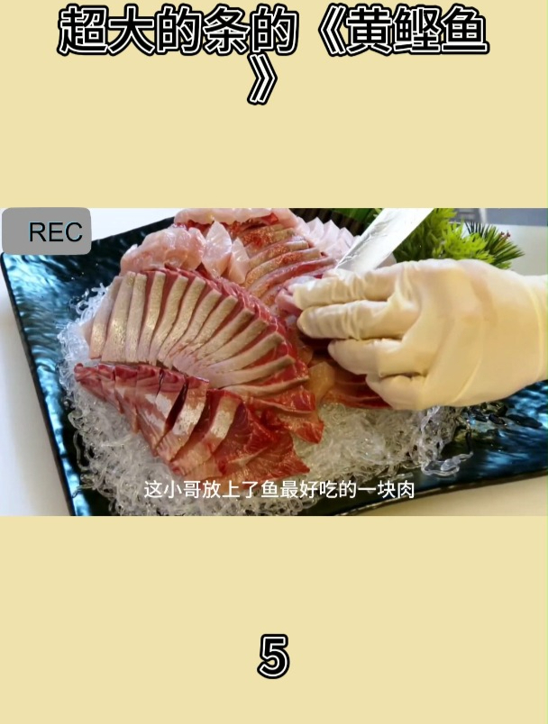 超大的条的《黄鲣鱼》5