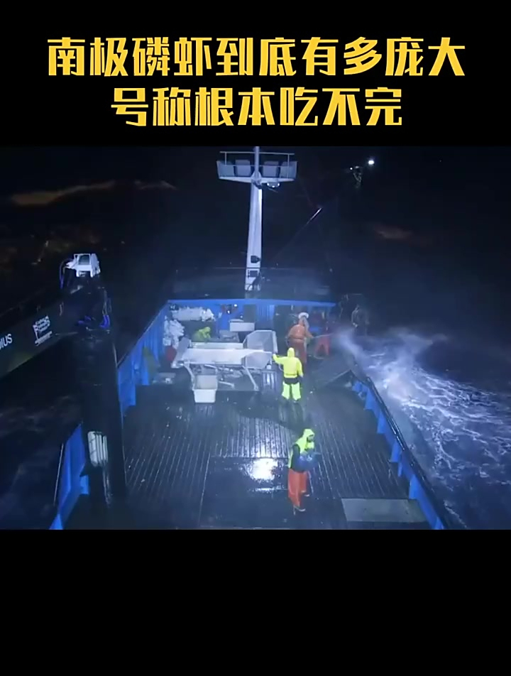 南极磷虾到底有多大,号称根本吃不完!磷虾酱吃过吗?