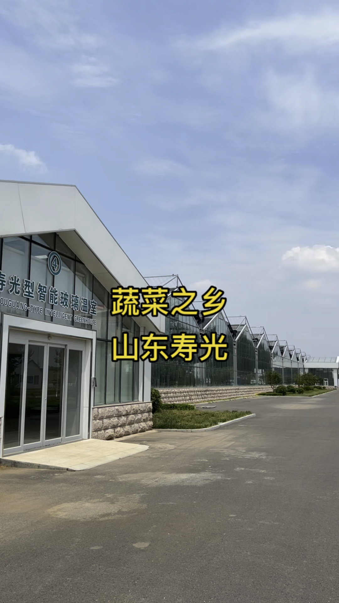 蔬菜之乡,山东寿光。