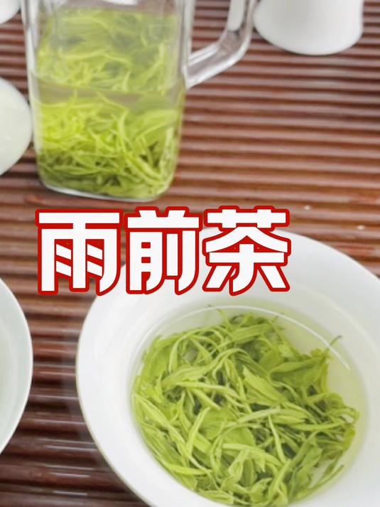 两百来块一斤的高山炒青绿茶，全部都是这样的嫩芽尖小嫩叶，栗香清甜，滋味回甘#炒青绿茶##狗