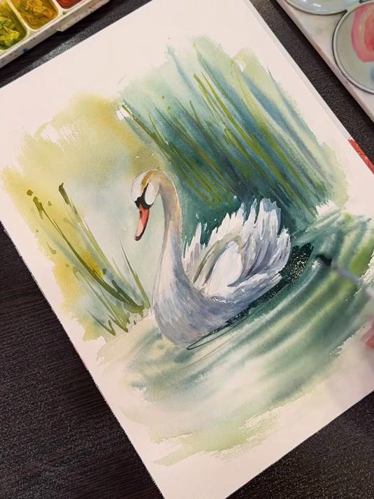 水彩天鹅的简单画法