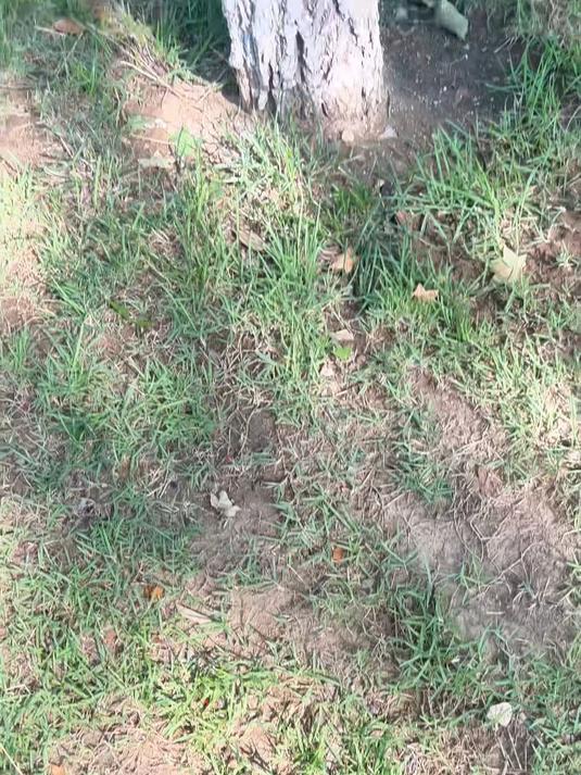 今天的你，也要加油鸭！